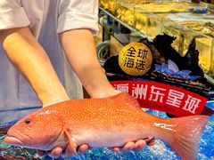 -喜宴又一村·粤菜·茶点·海鲜(壹方天地店)