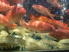 -新荣记(椒江店)