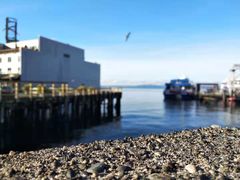 -The Crab Pot Seattle