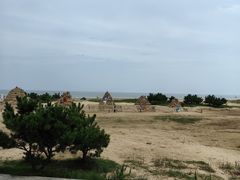 -日照海滨国家森林公园