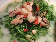 上汤豆苗-湘村人家(常平中元街店)