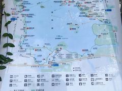 -金鸡湖景区