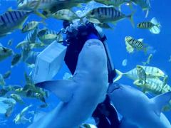 -太平洋海底世界