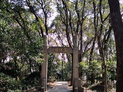 -上海佘山国家森林公园天马山园