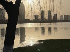 -金银湖国家城市湿地公园