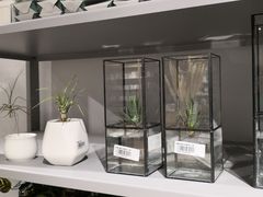 -OCE(熙地港购物中心店)