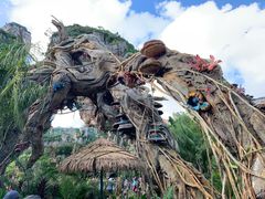 阿凡达-奥兰多迪士尼动物王国乐园