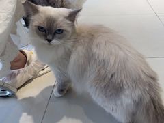 -怪兽屋·羊驼·猫咖·狗咖(俊华广场店)
