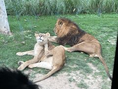 -北京野生动物园