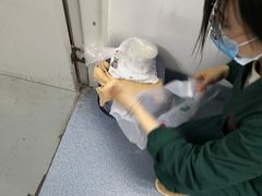 -睿金宠物医院·CT·肿瘤·骨外科