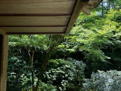-三千院