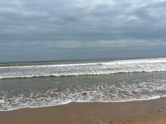 -日照海滨国家森林公园