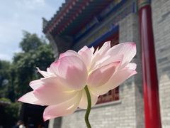 -西安市广仁寺
