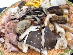 -草墩罗非鱼庄•野生菌•腊排骨(七星街上段店)