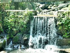 -藏龙百瀑风景区