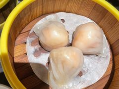-半岛翡丽海鲜自助餐厅(观风亭店)