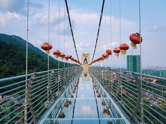 -客天下恐龙水晶玻璃桥