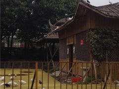 -松山湖梦幻百花洲