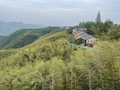 -莫干山风景区