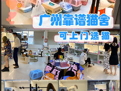 -lincat·猫舍(广州店)