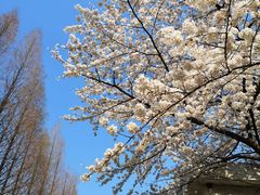 -南京财经大学(仙林校区)