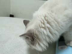 -美联众合24小时·皮肤科·外科·全科诊疗中心(华苑分院)