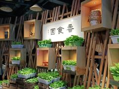 -番食园鲜食火锅(高新店)
