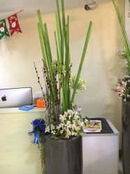 -麦莎MA3A摄影工作室(美兰金邸店)