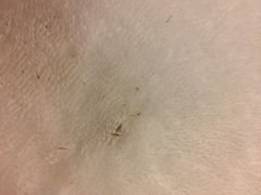 花园酒店-广州花园酒店