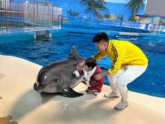 -泉城欧乐堡海洋极地世界