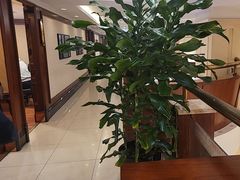 -顺风酒店(长寿路店)
