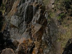 -花岩国家森林公园