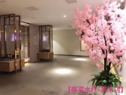 -葆姿普拉提·瑜伽