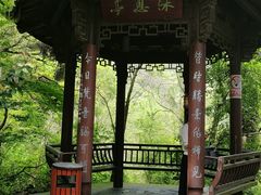 -杭州半山国家森林公园