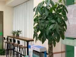 -苗医生专业祛痘·皮肤管理
