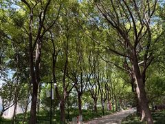 -龙盛活力小镇