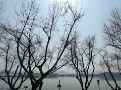 -青竺·青竹茶舍(断桥店)