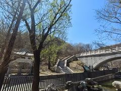 -白水寺森林公园