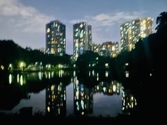 -晓港公园