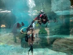 -波塞冬旅游度假区