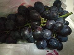 -白鹿原葡萄主题公园