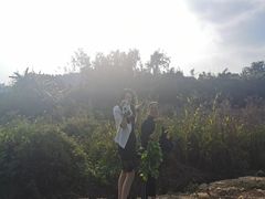 -凤岗南门山森林公园