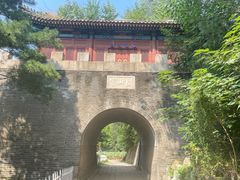 -云岗森林公园