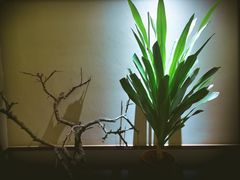 -鼎族怡华·指压·经络·疗愈SPA(紫荆店)