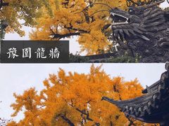 -豫园