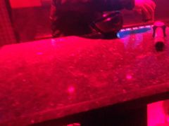 -好乐迪(张扬路八佰伴店)