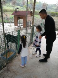 -奇怪的独角兽亲子理发沙龙