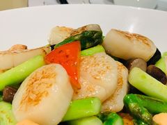 高山芦笋炒澳带-东富酒家(龙湖西溪天街店)