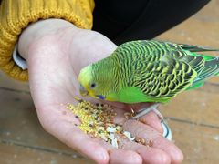 -南宫五洲植物乐园