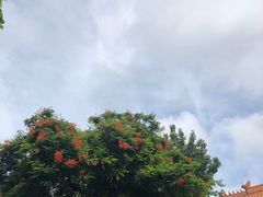 -点都德(千灯湖环宇城店)